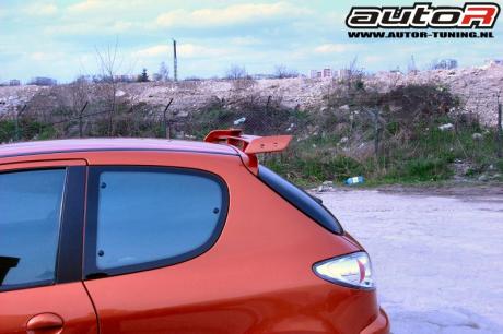 Peugeot 206 98-03 3D Spoiler Miniwing