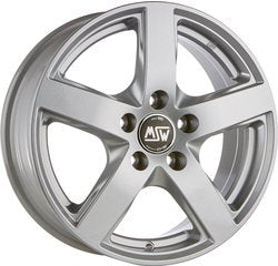 Cerchio MSW FULL SILVER