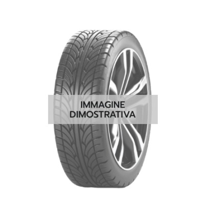 TOYO 205/60 R13 86 PROXES R 888 R